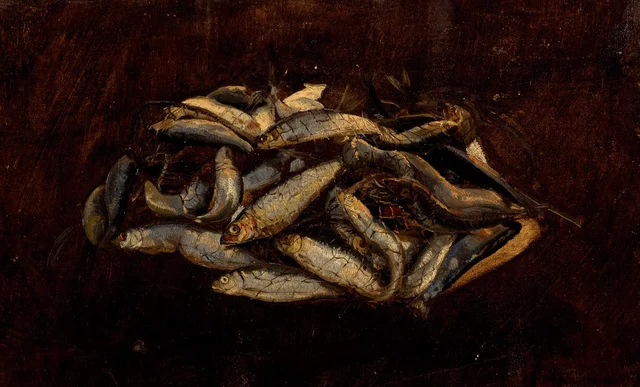 Harengs dans un filet de pêche