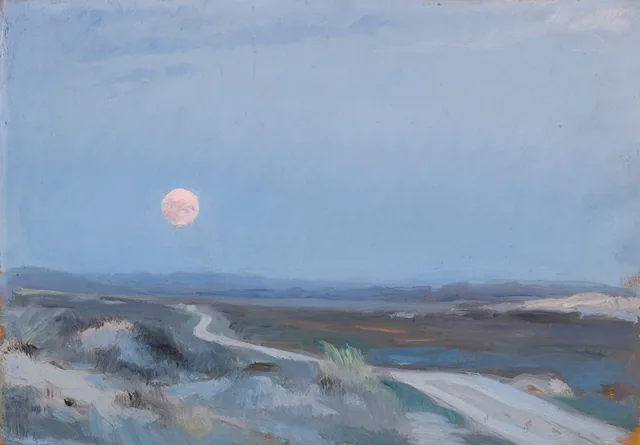 Paysage de Stenbjerg avec la lune