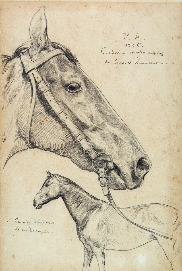 カブル、イギリスの馬（習作）
