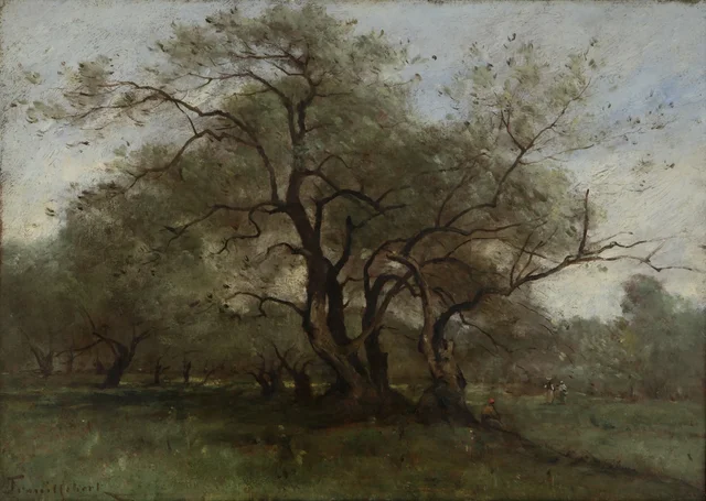Landscape