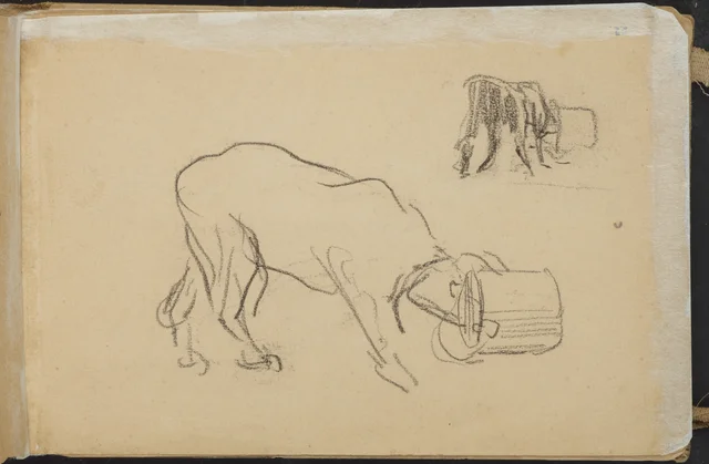 Vaca com a cabeça num balde. De um caderno de 1893, Petrus van der Velden