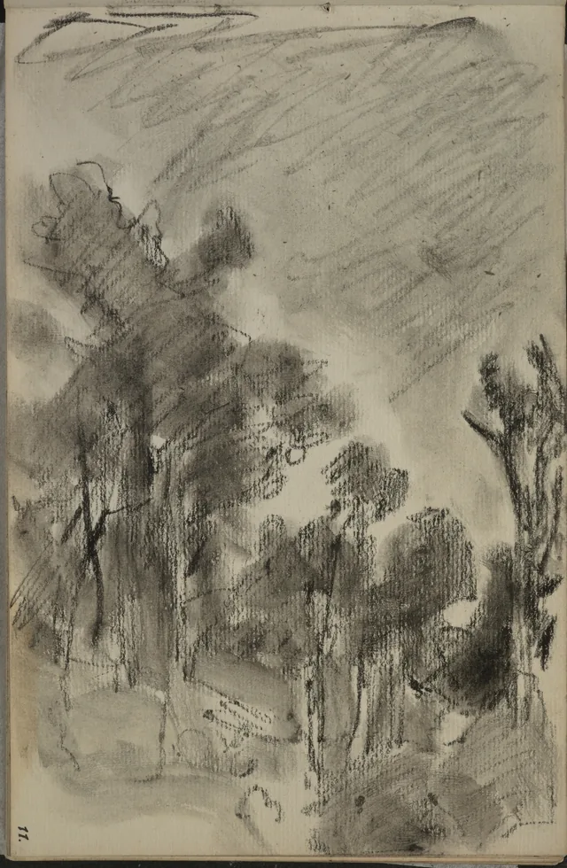 Esboço de árvores. De um caderno de 1891, Petrus van der Velden
