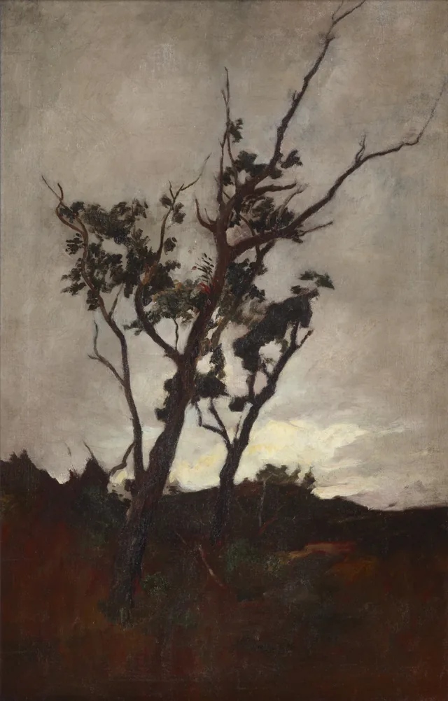 Estudo de árvore, Petrus van der Velden