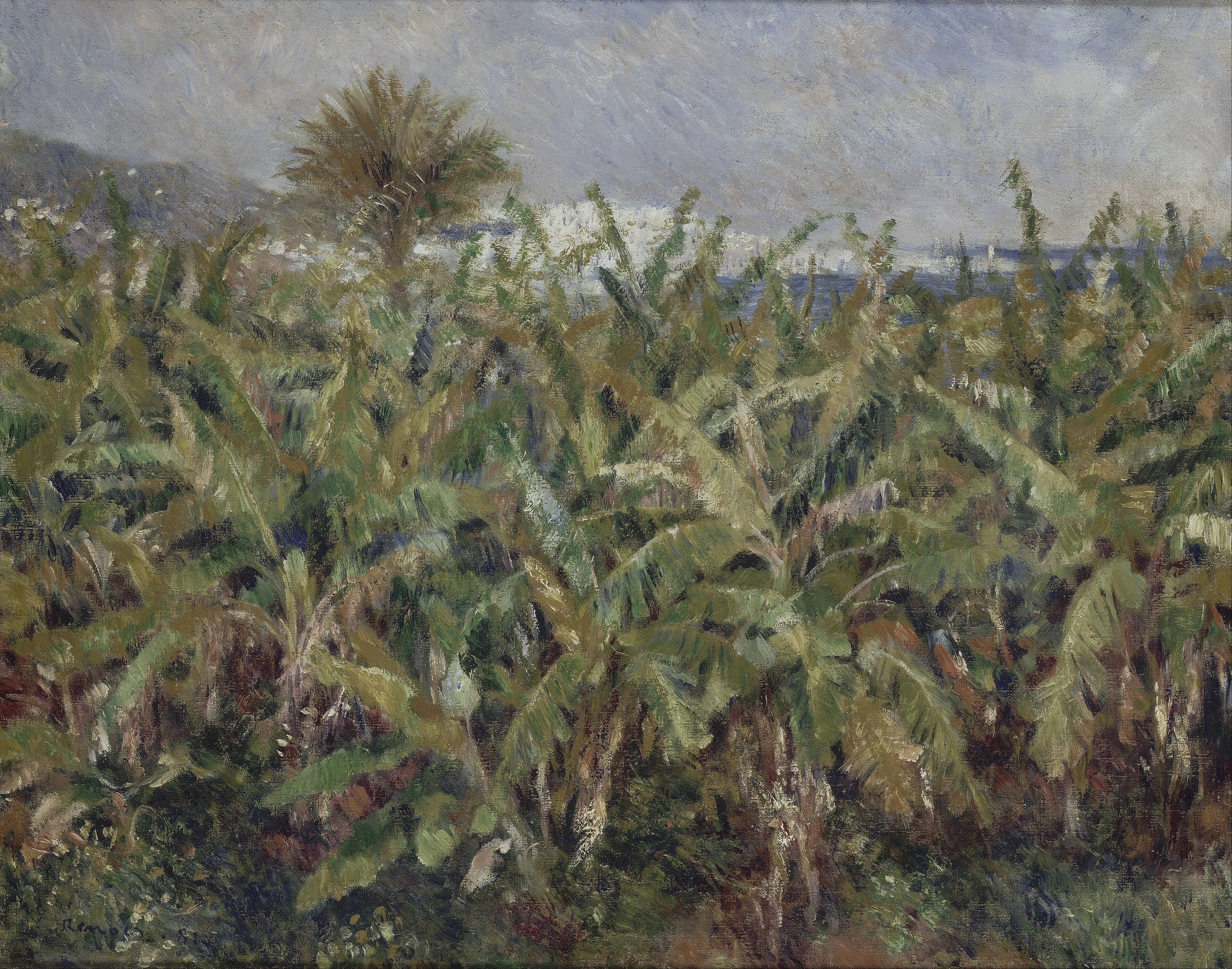 champ de bananiers, Pierre-Auguste Renoir