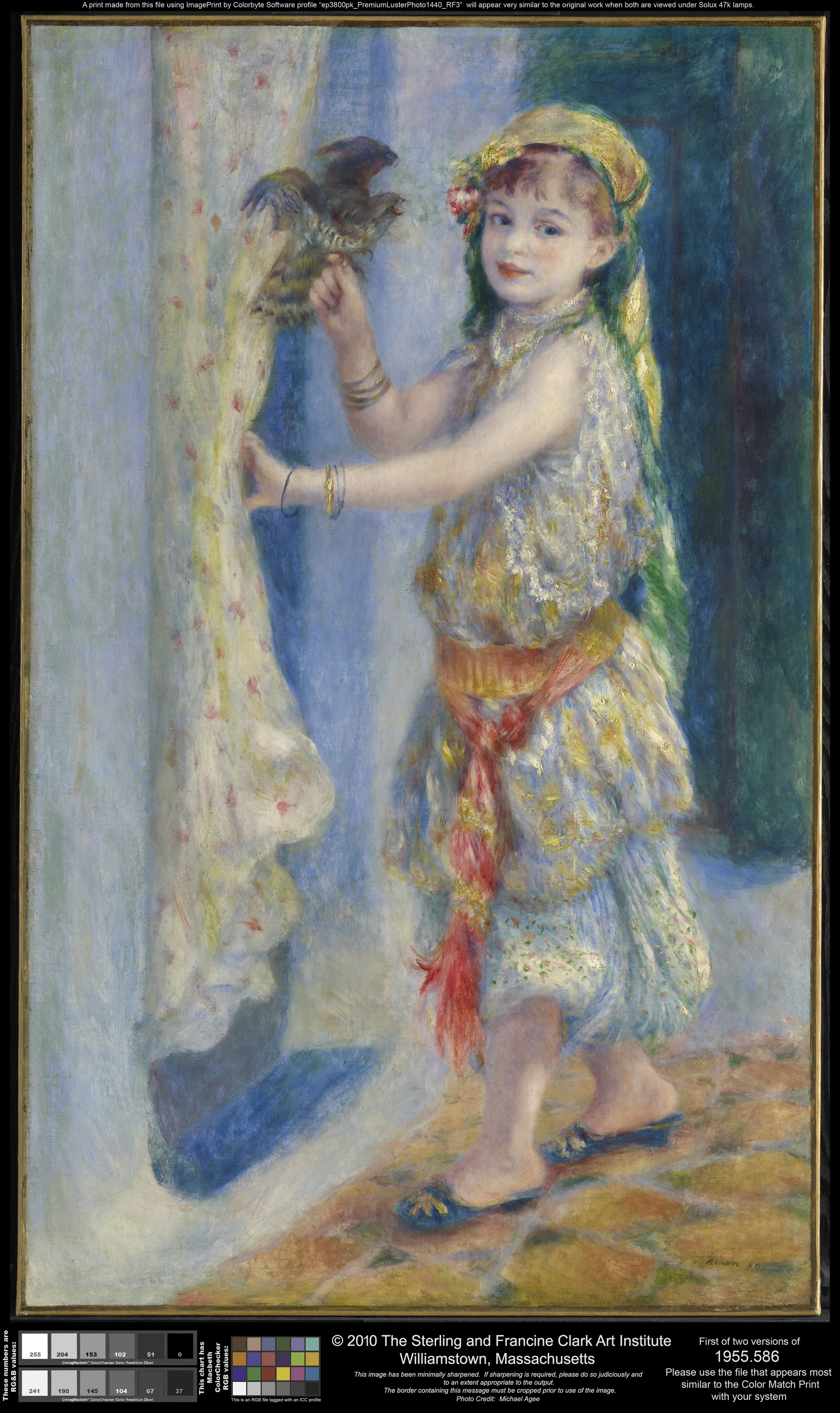 L'enfant à l'oiseau, Pierre-Auguste Renoir