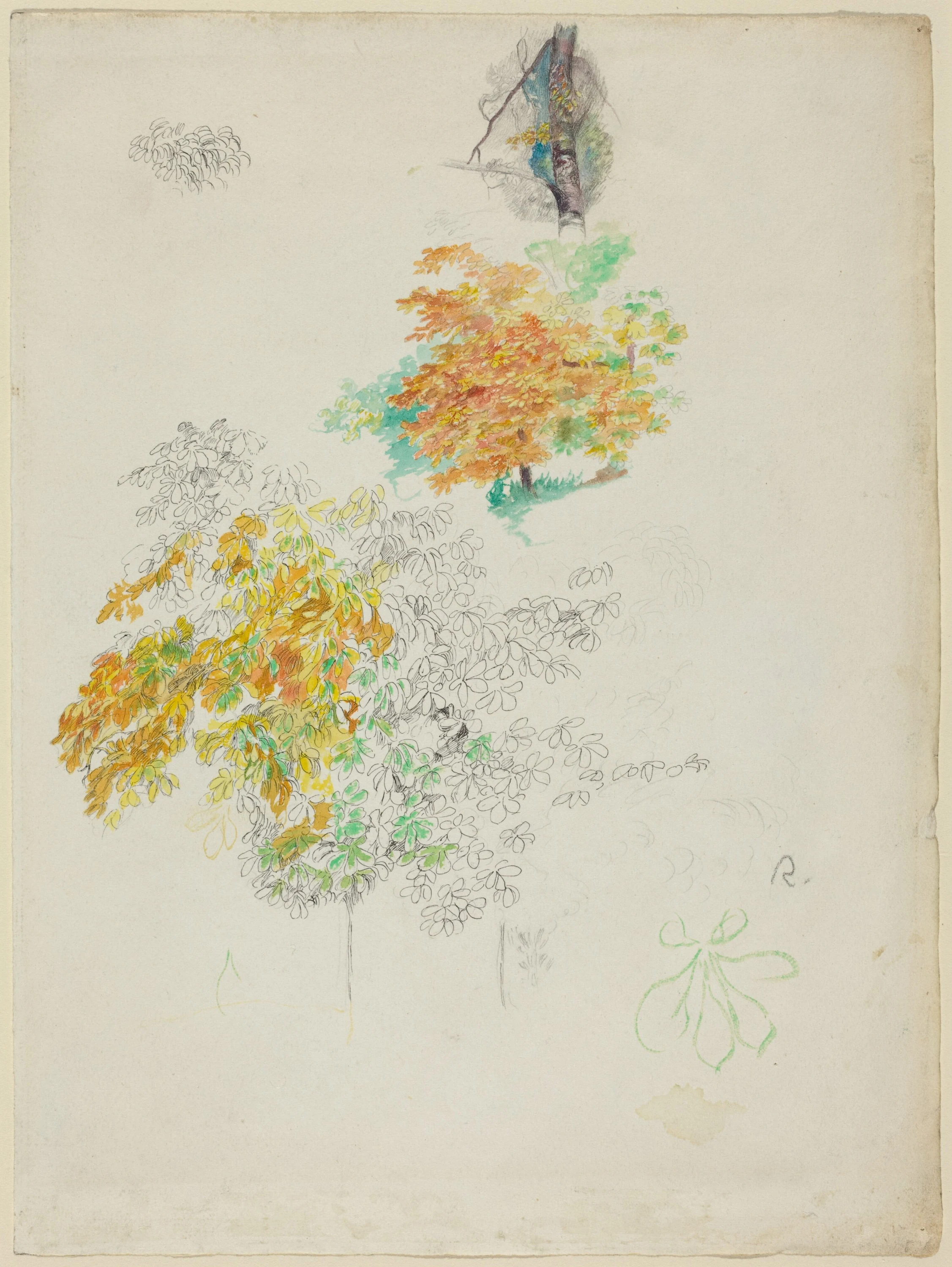 Studies of Trees, Pierre-Auguste Renoir