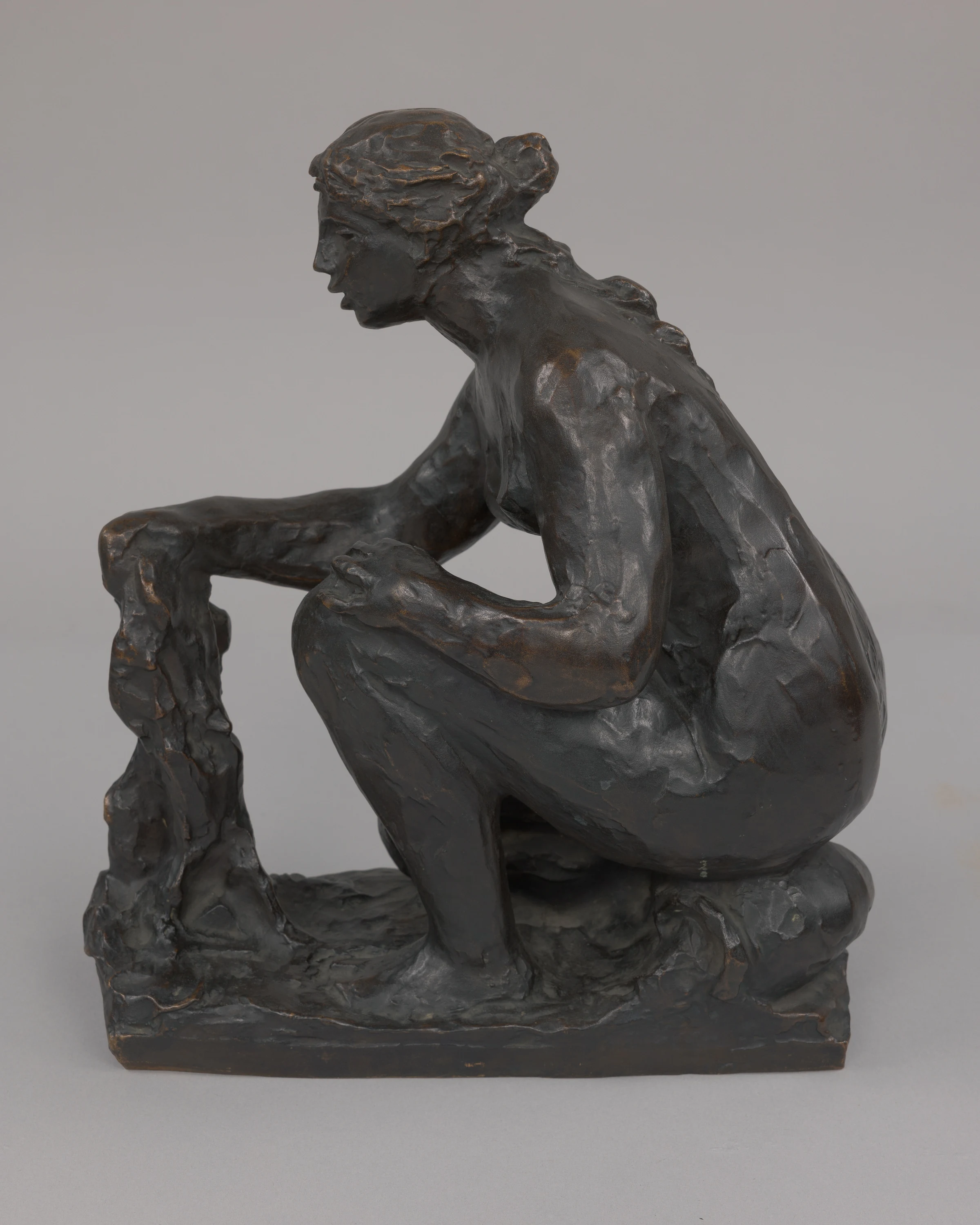 Washerwoman, Pierre-Auguste Renoir