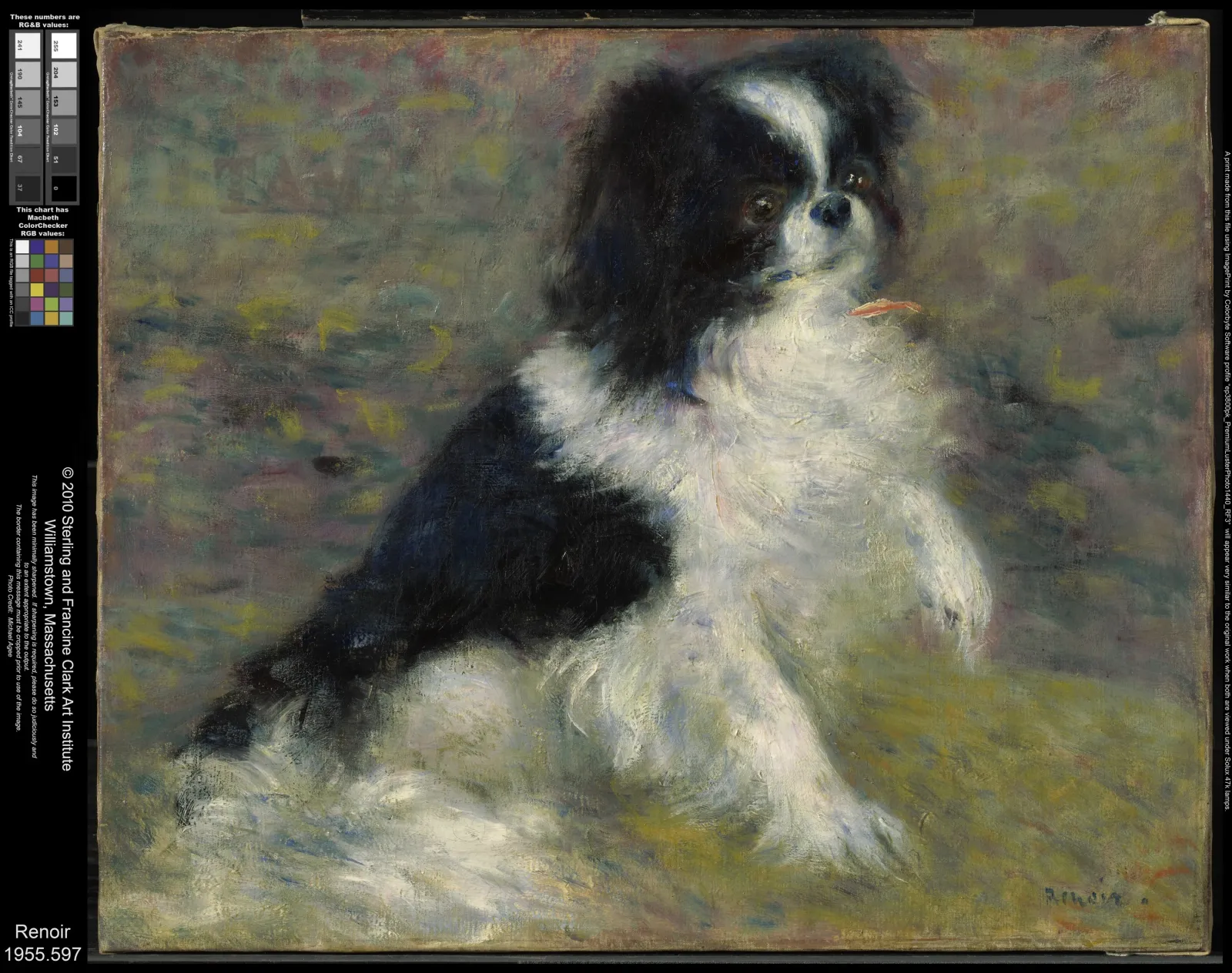 Le chien Tama, Pierre-Auguste Renoir