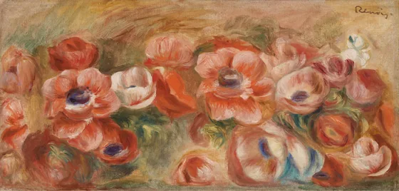 Anemones (Anémones)