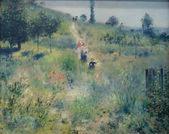 Chemin montant dans les hautes herbes