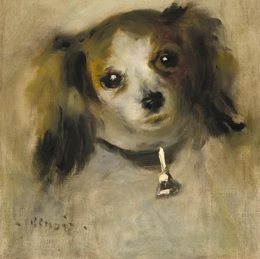 Head of a Dog