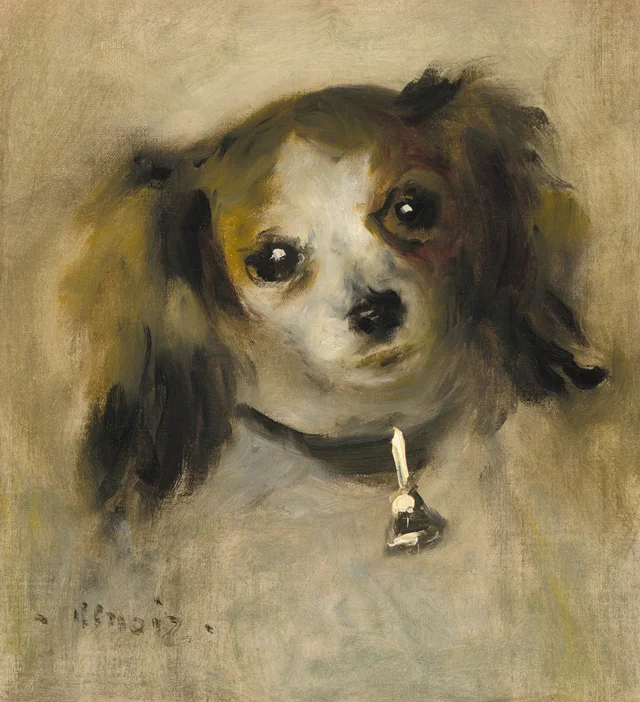 Cabeza de perro