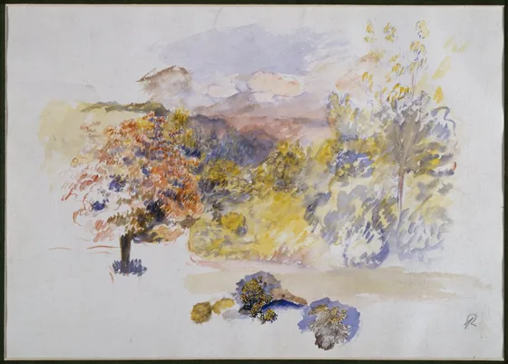 Landskap i Provence
