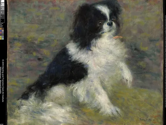Le chien Tama
