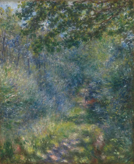 Path in the Forest