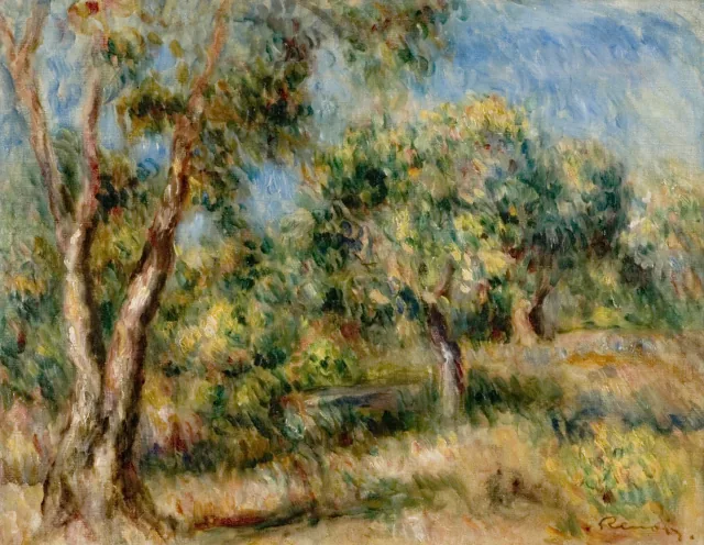 Paysage de Cagnes
