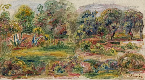 Paysage du Midi