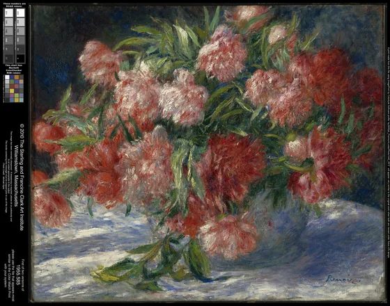 Pivoines