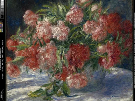 Pivoines