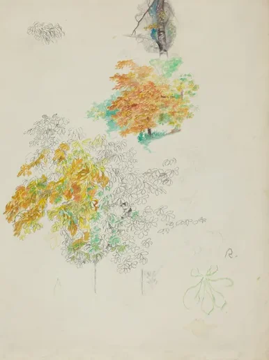 Studies of Trees