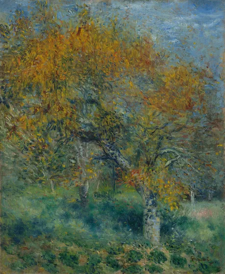 The Pear Tree