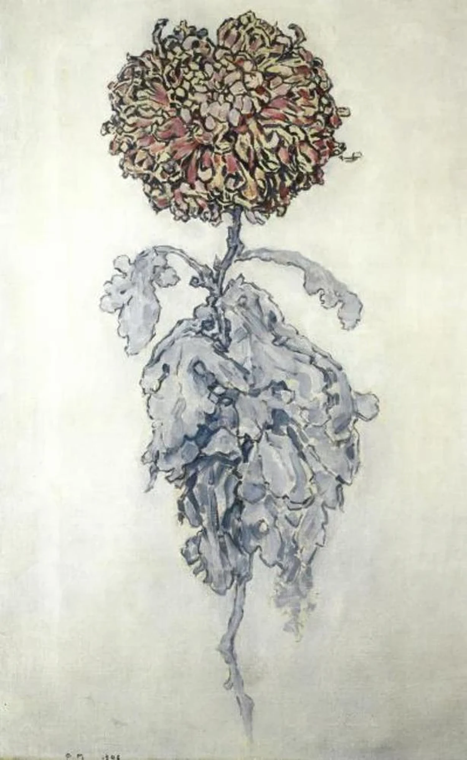 Chrysanthemum, Piet Mondrian