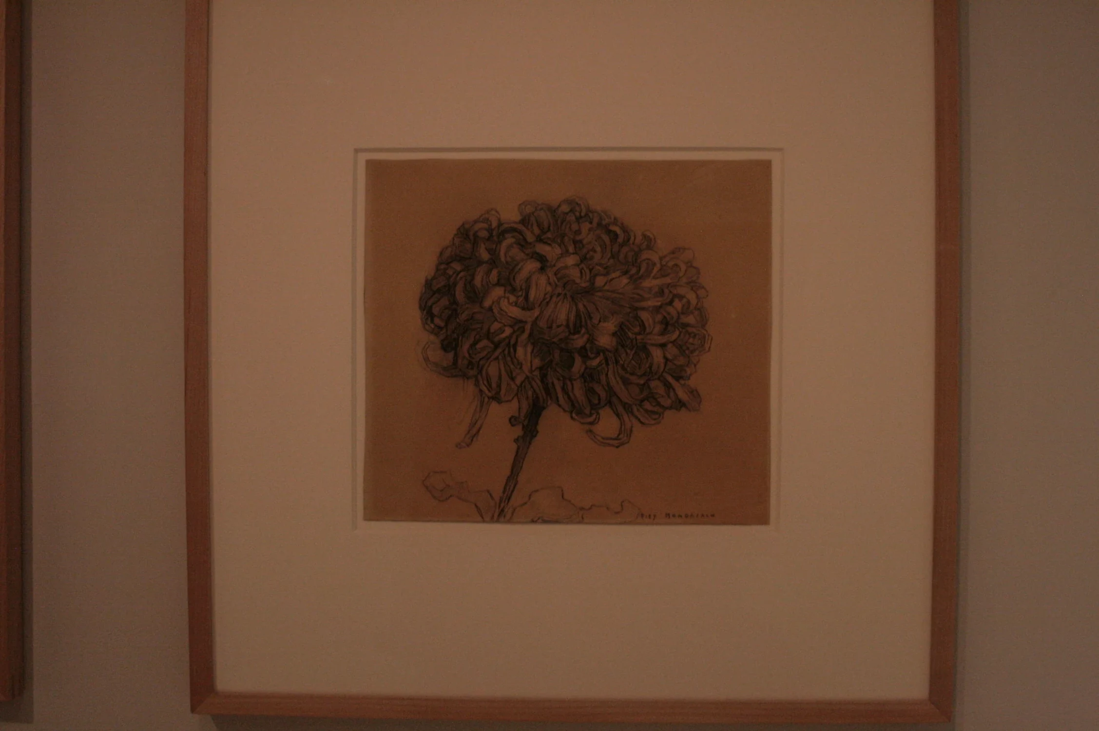 Chrysanthemum, Piet Mondrian