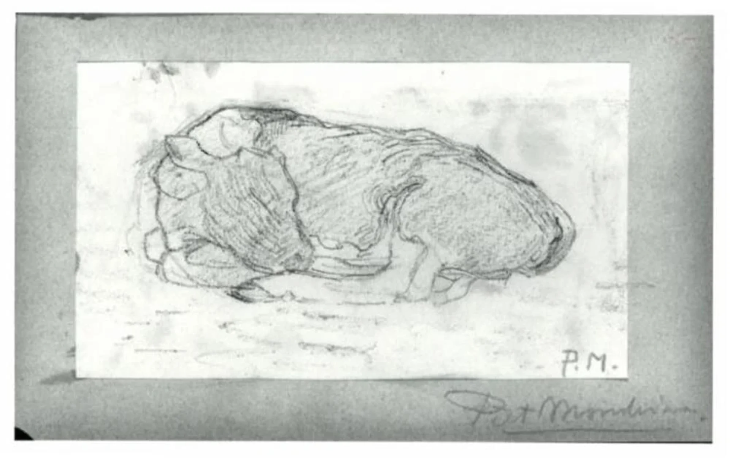 Sketch of a calf lying down, Piet Mondrian