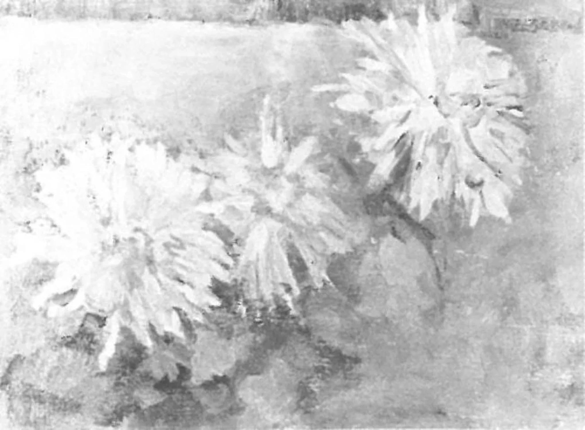 Three chrysanthemum blossoms, Piet Mondrian