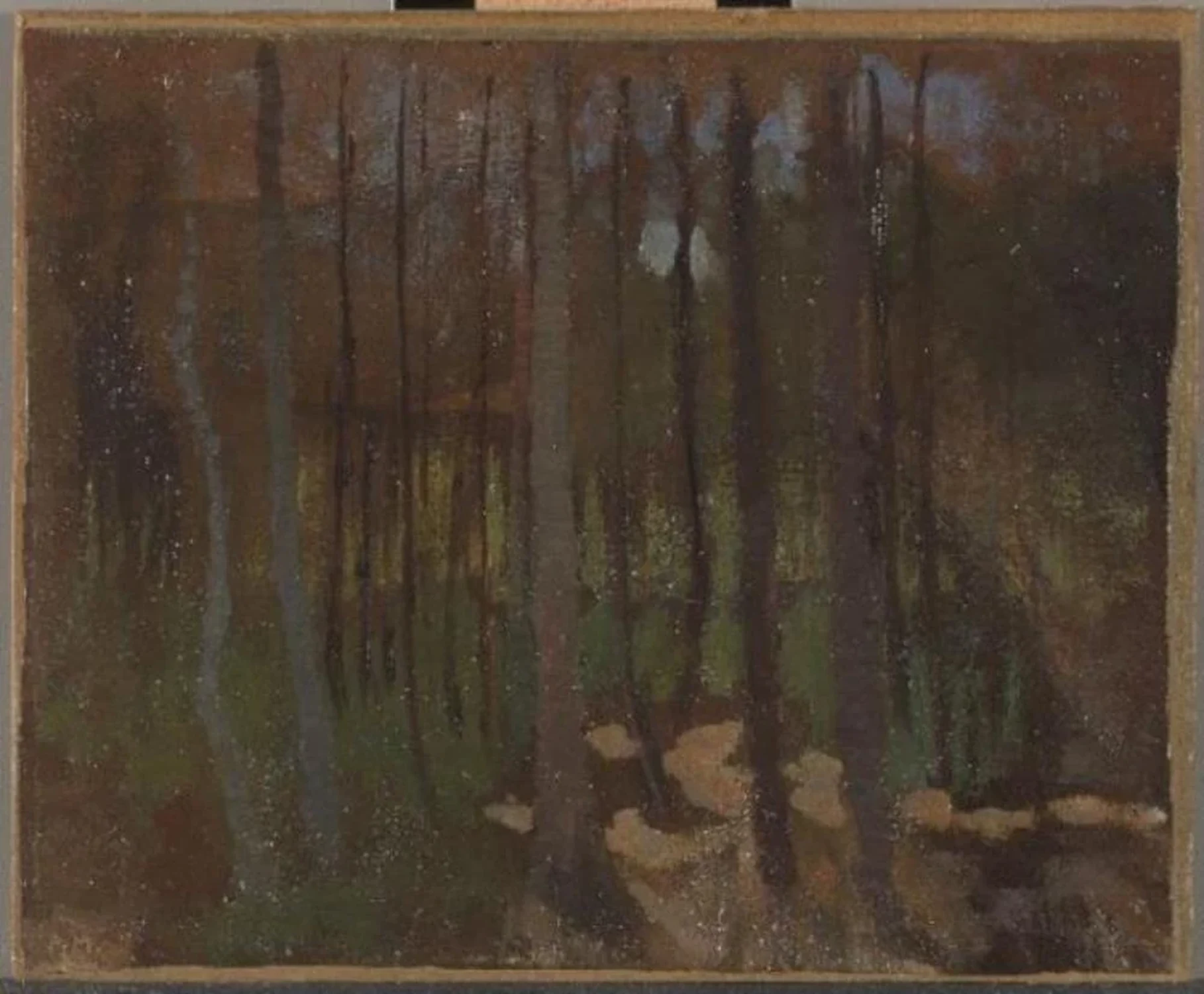 Woods, Piet Mondrian