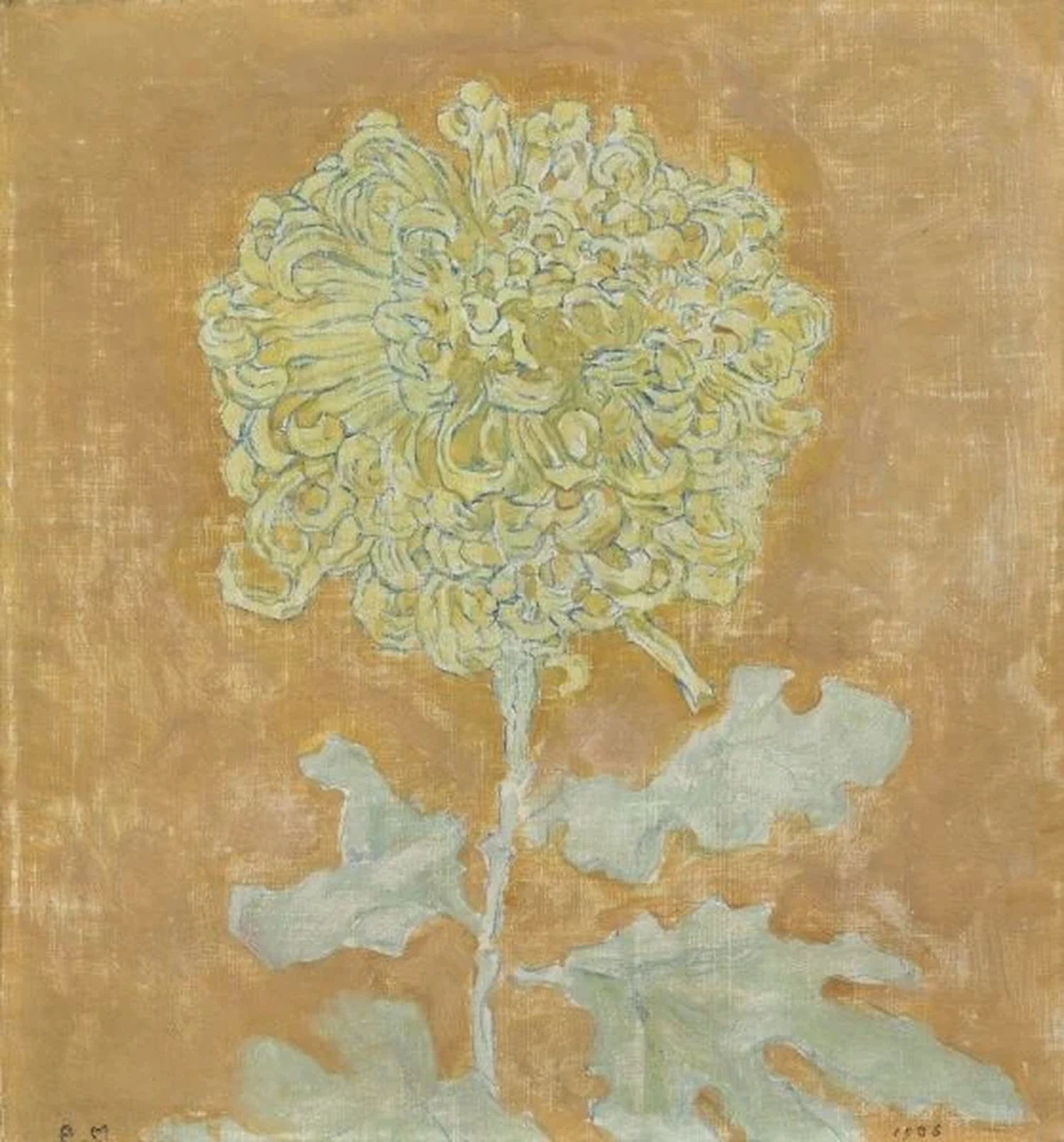 Chrysanthème, Piet Mondrian