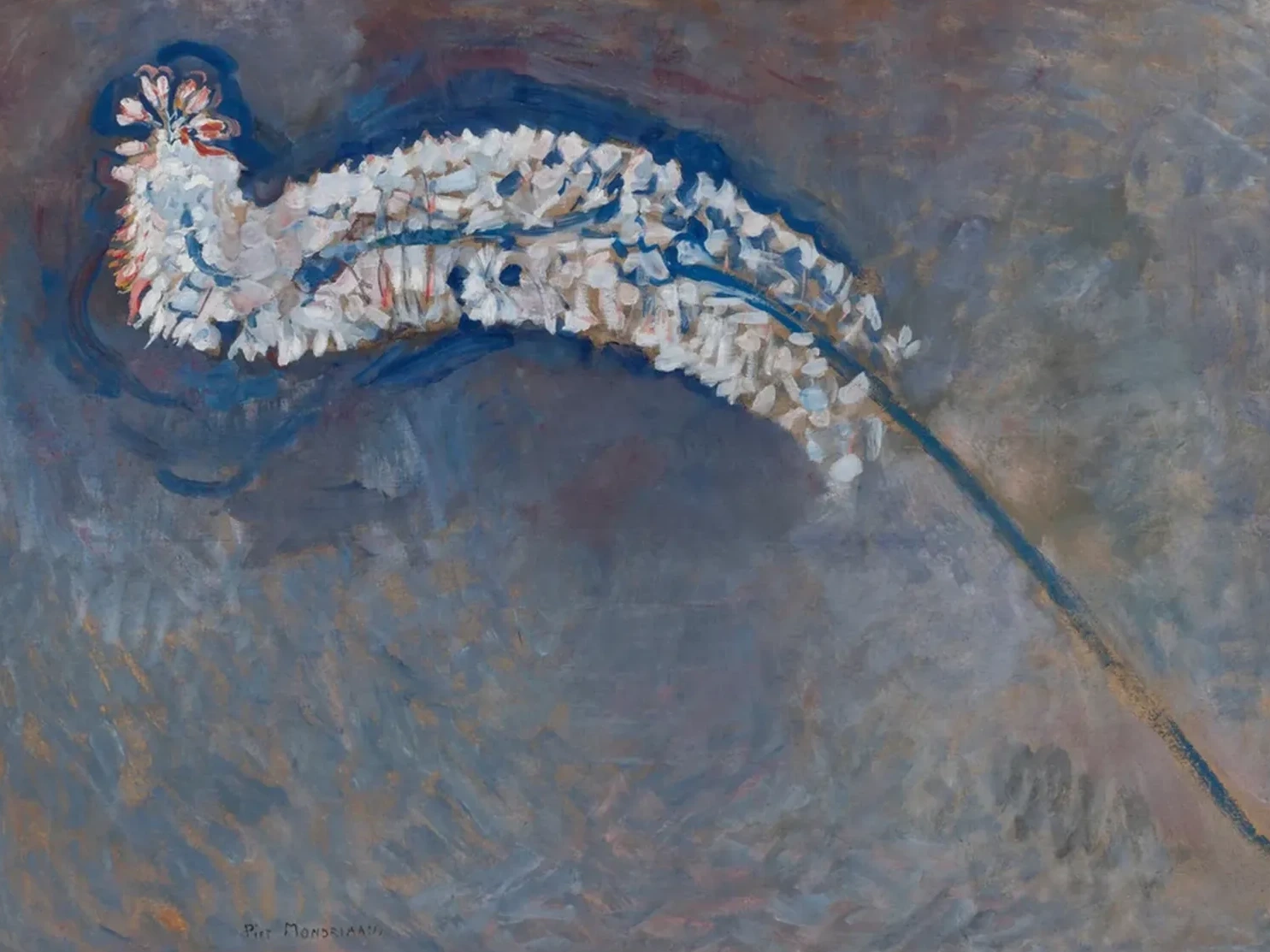 Foxtail lily, Piet Mondrian