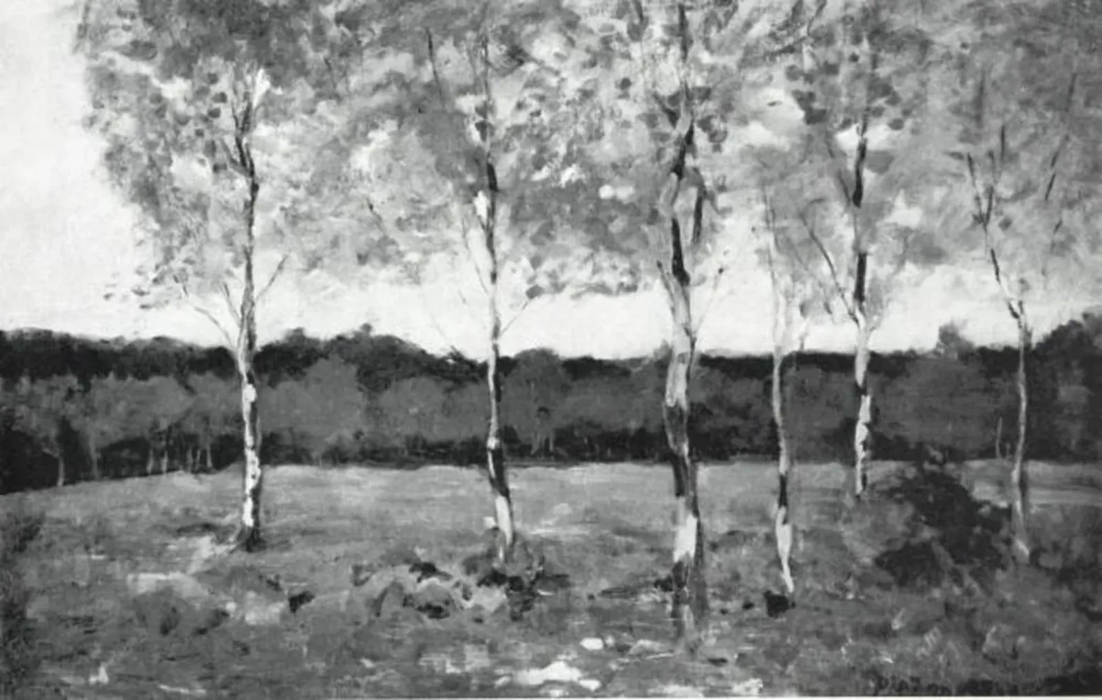 Six young birch trees in a field, Piet Mondrian