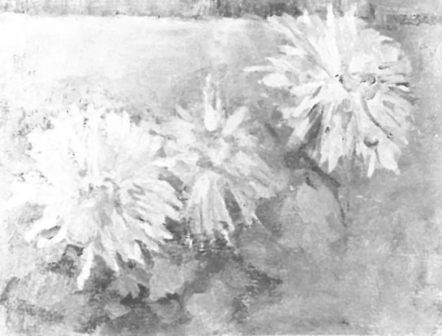 Three chrysanthemum blossoms, Piet Mondrian