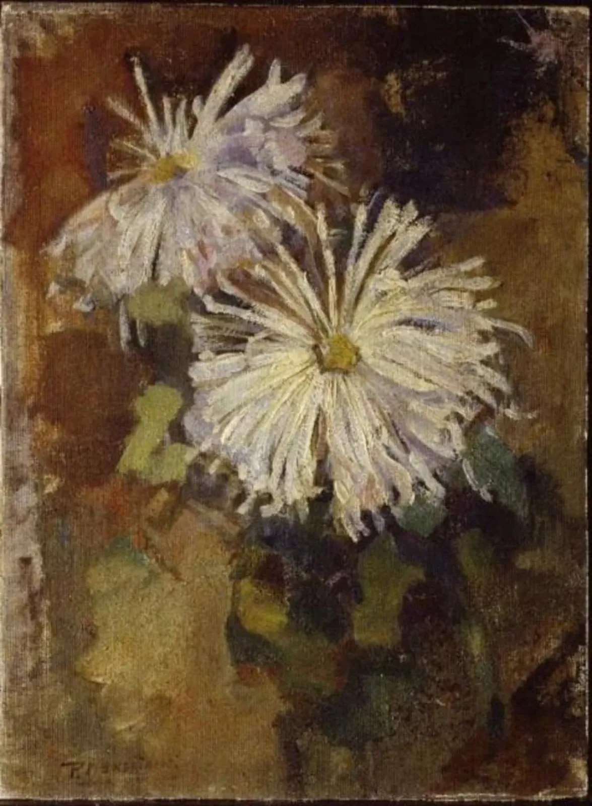 Two chrysanthemum blossoms, Piet Mondrian