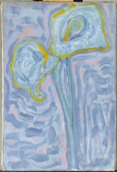 Arum lilies