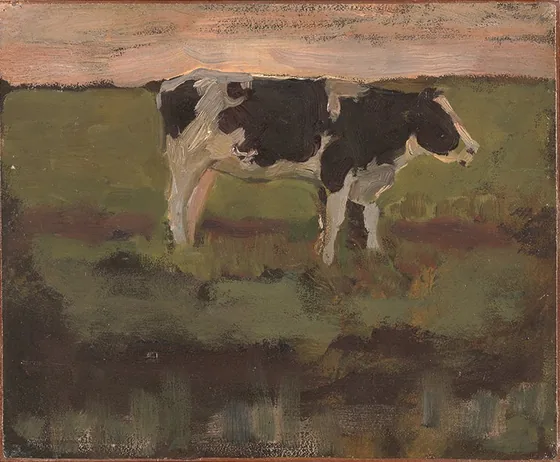 Black and White Heifer