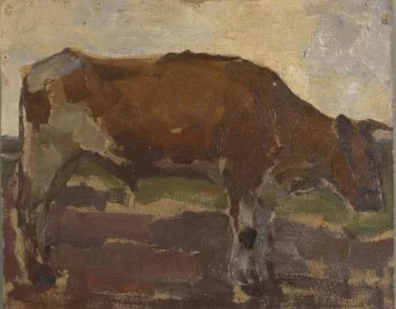Brown and white ox steer