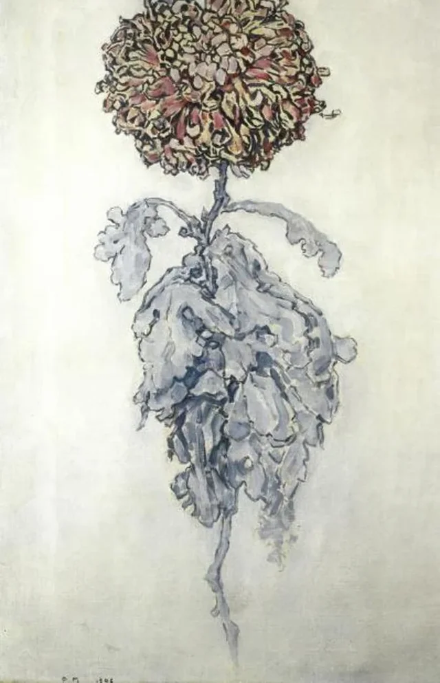 菊