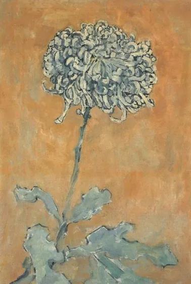 Chrysanthemum