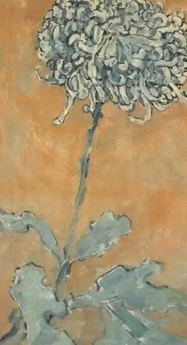 Chrysanthemum