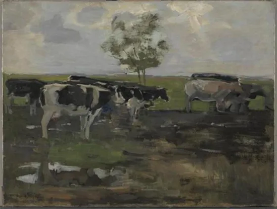 Cows in a meadow with tree