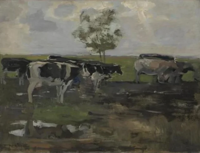 Vacas en un prado con árbol