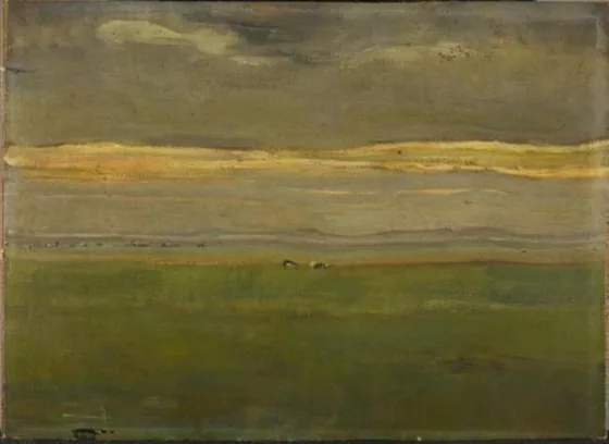 Evening landscape with cows