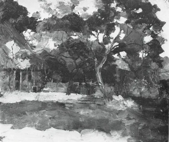 Farm buildings in Het Gooi, veiled by trees