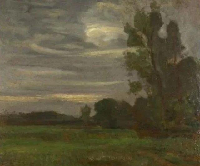 Campo con silueta de árbol a la derecha