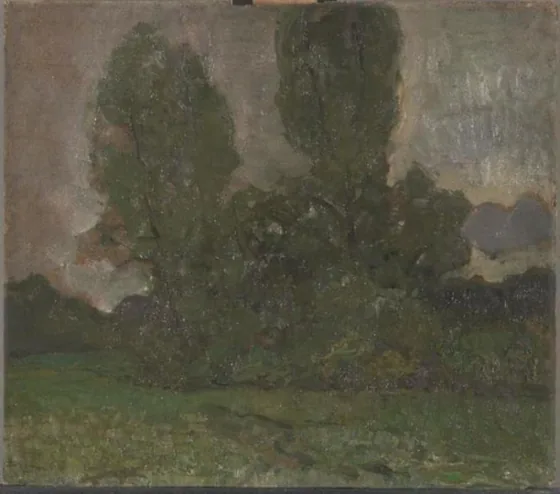 Field with two tree silhouettes I