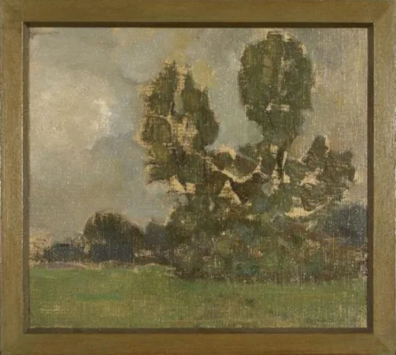 Field with two tree silhouettes II