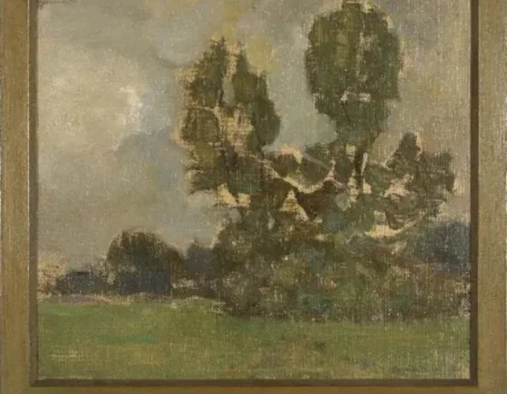 Field with two tree silhouettes II