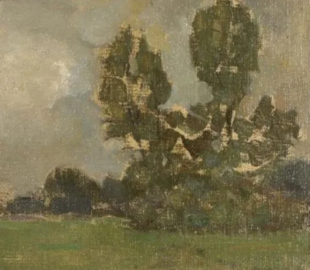 Campo con dos siluetas de árboles II